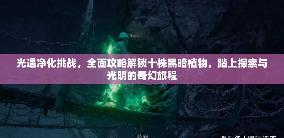 光遇净化挑战，全面攻略解锁十株黑暗植物，踏上探索与光明的奇幻旅程
