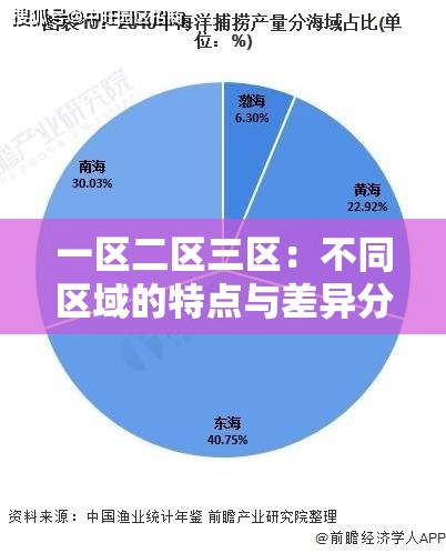 一区二区三区：不同区域的特点与差异分析及未来发展探讨