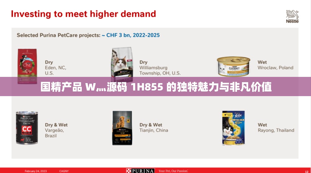 国精产品 W灬源码 1H855 的独特魅力与非凡价值