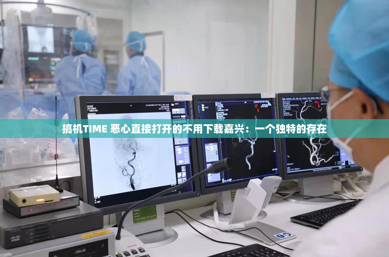 搞机TIME 恶心直接打开的不用下载嘉兴：一个独特的存在