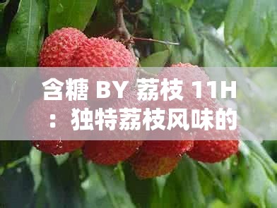含糖 BY 荔枝 11H ：独特荔枝风味的甜蜜探索