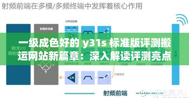 一级成色好的 y31s 标准版评测搬运网站新篇章：深入解读评测亮点