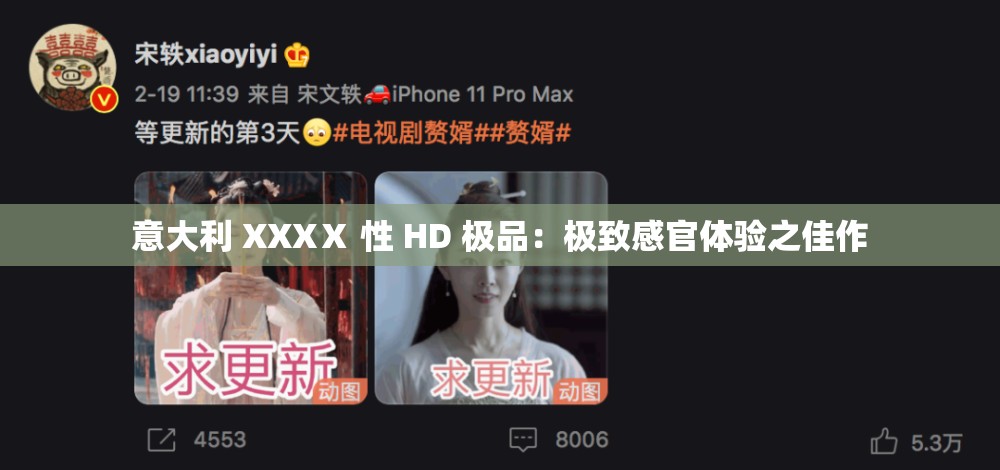 意大利 XXXⅩ 性 HD 极品：极致感官体验之佳作