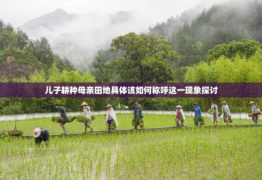 儿子耕种母亲田地具体该如何称呼这一现象探讨