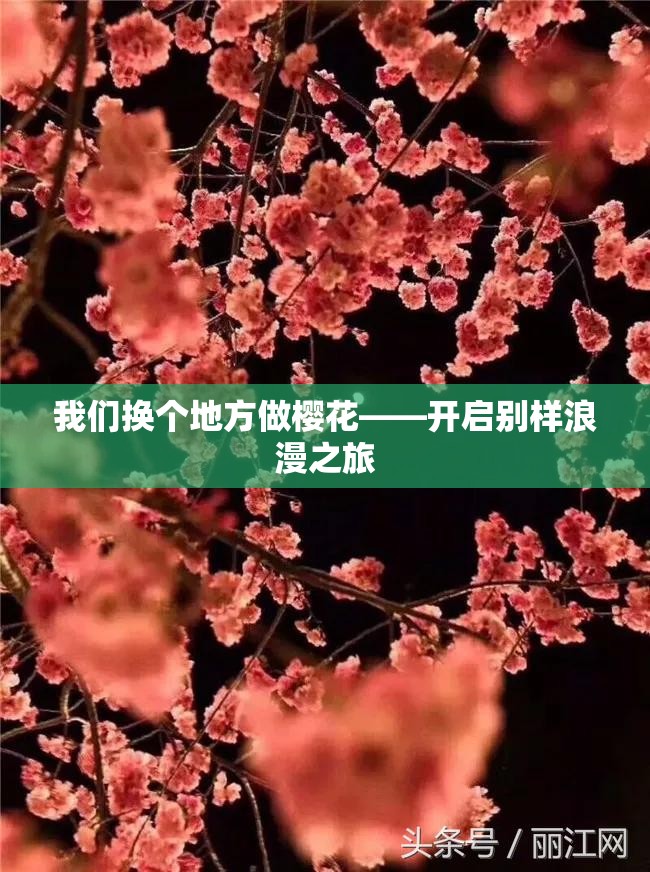 我们换个地方做樱花——开启别样浪漫之旅