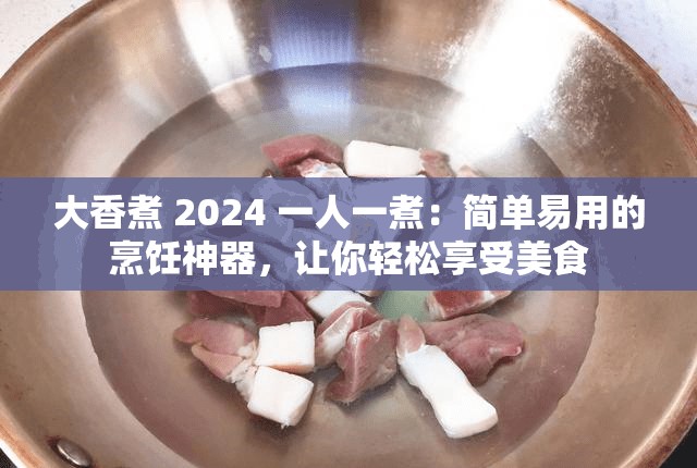 大香煮 2024 一人一煮：简单易用的烹饪神器，让你轻松享受美食