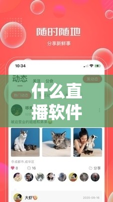 什么直播软件可以看那个东西：探寻各类直播平台的可能性