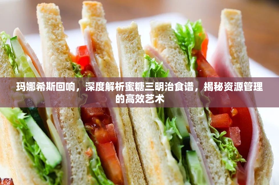 玛娜希斯回响，深度解析蜜糖三明治食谱，揭秘资源管理的高效艺术