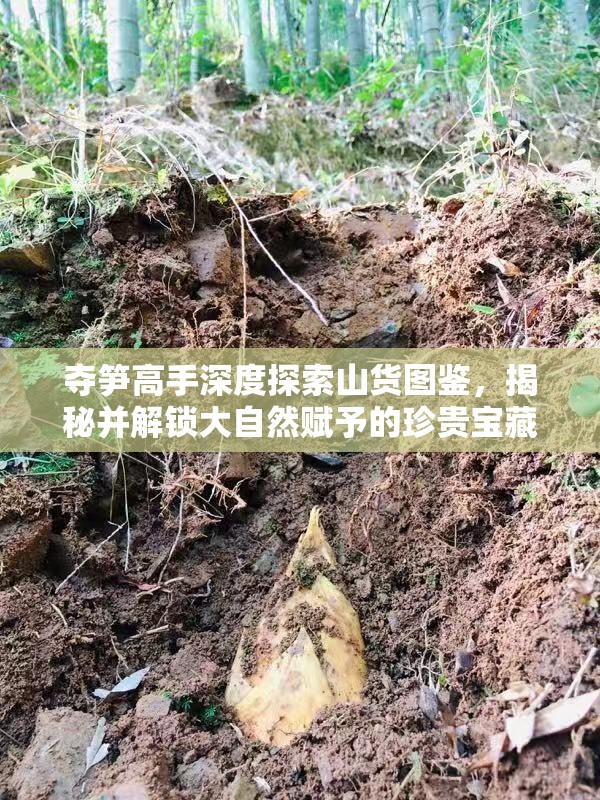 夺笋高手深度探索山货图鉴，揭秘并解锁大自然赋予的珍贵宝藏之旅