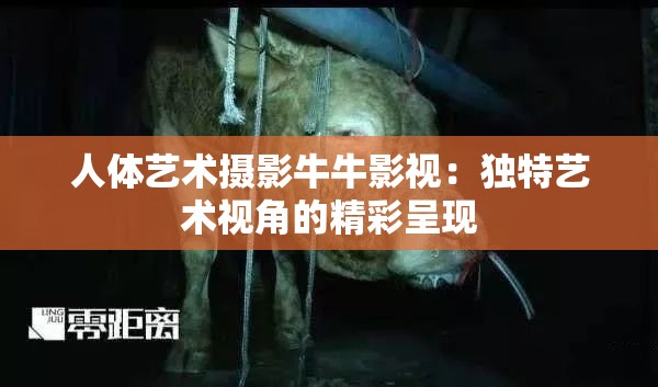 人体艺术摄影牛牛影视：独特艺术视角的精彩呈现