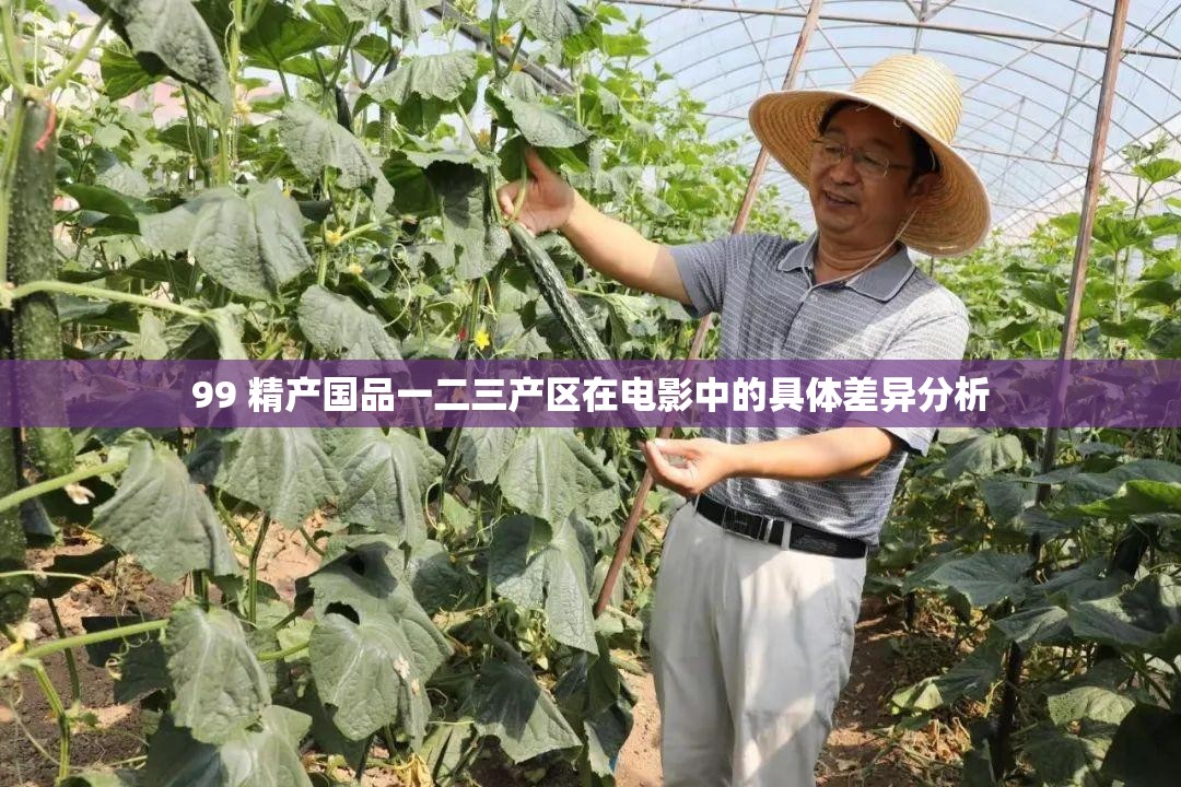 99 精产国品一二三产区在电影中的具体差异分析