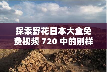 探索野花日本大全免费视频 720 中的别样精彩