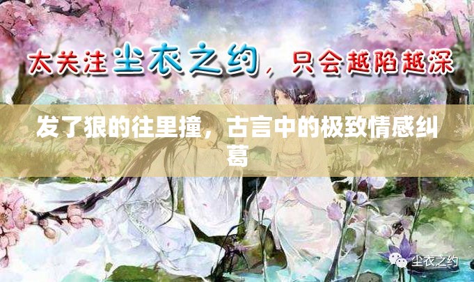 发了狠的往里撞，古言中的极致情感纠葛