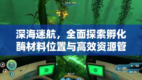 深海迷航，全面探索孵化酶材料位置与高效资源管理策略