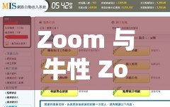 Zoom 与牛性 Zoom1 区别之详细分析及对比探讨