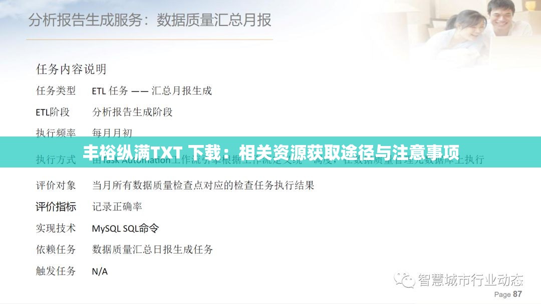 丰裕纵满TXT 下载：相关资源获取途径与注意事项