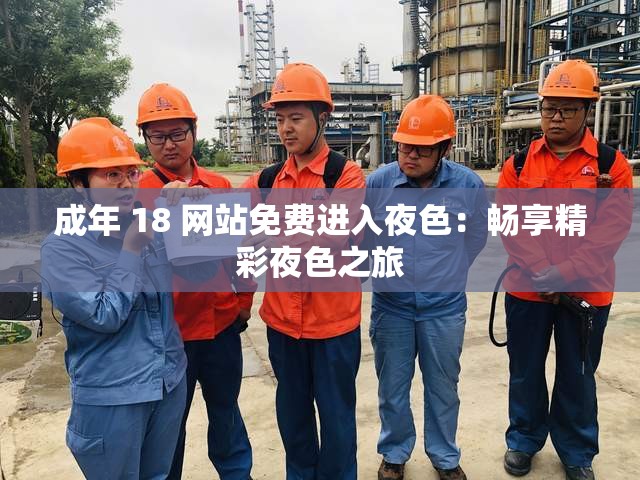 成年 18 网站免费进入夜色：畅享精彩夜色之旅