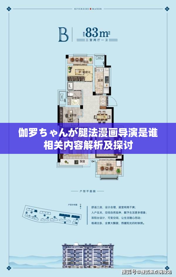 伽罗ちゃんが腿法漫画导演是谁相关内容解析及探讨