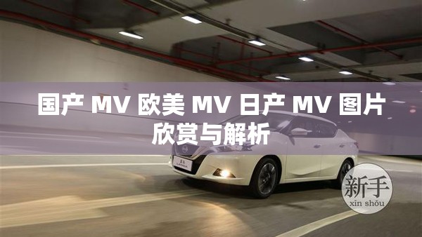 国产 MV 欧美 MV 日产 MV 图片欣赏与解析