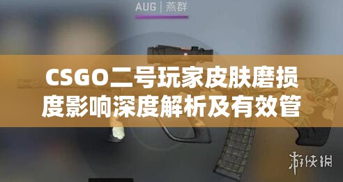 CSGO二号玩家皮肤磨损度影响深度解析及有效管理维护策略