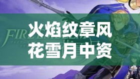 火焰纹章风花雪月中资料管理与贝雷丝/贝雷特人物信息掌握的重要性及高效技巧