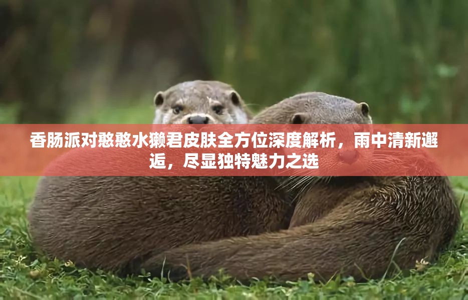 香肠派对憨憨水獭君皮肤全方位深度解析，雨中清新邂逅，尽显独特魅力之选