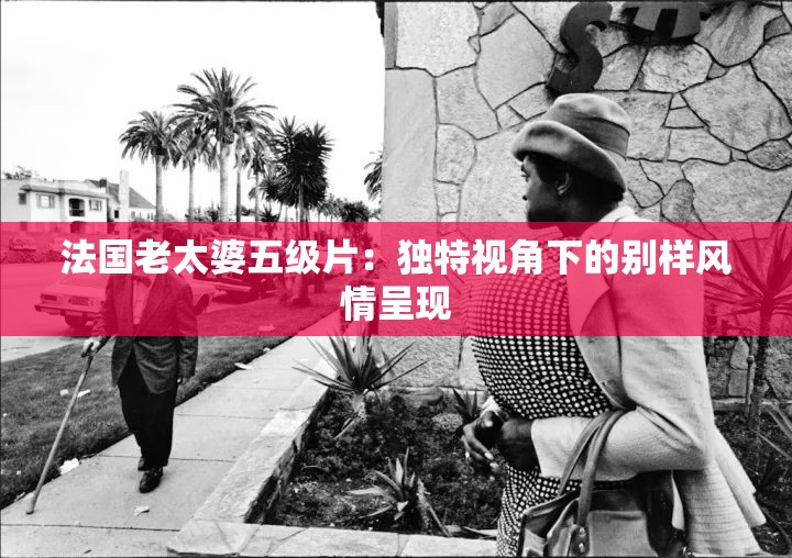 法国老太婆五级片：独特视角下的别样风情呈现
