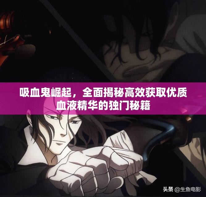 吸血鬼崛起，全面揭秘高效获取优质血液精华的独门秘籍