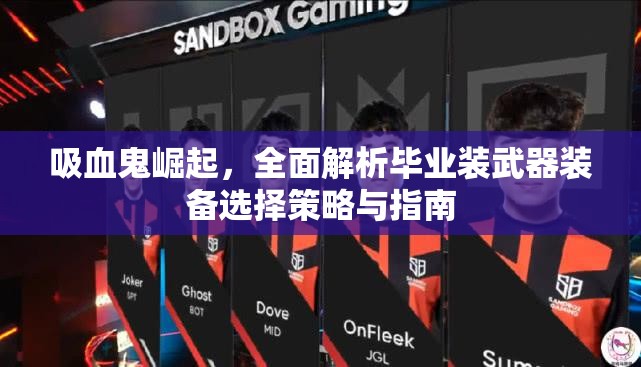 吸血鬼崛起，全面解析毕业装武器装备选择策略与指南