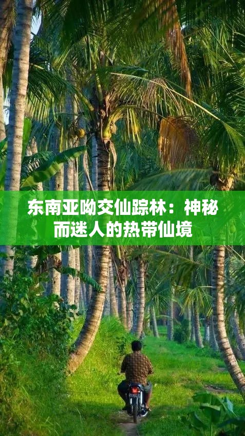 东南亚呦交仙踪林：神秘而迷人的热带仙境