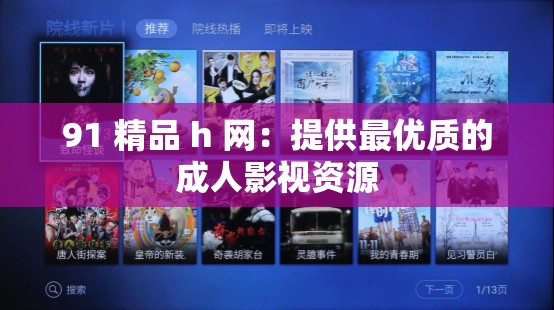 91 精品 h 网：提供最优质的成人影视资源