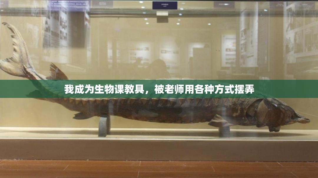 我成为生物课教具，被老师用各种方式摆弄