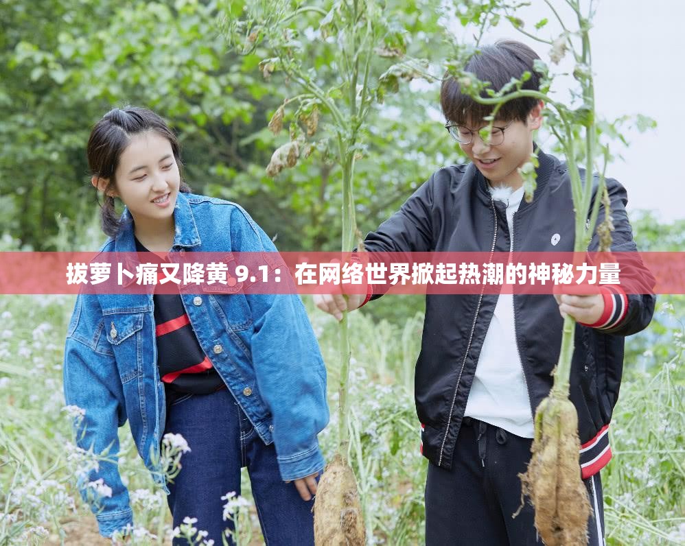 拔萝卜痛又降黄 9.1：在网络世界掀起热潮的神秘力量