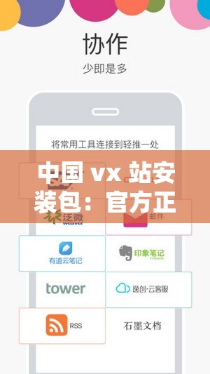 中国 vx 站安装包：官方正版，安全无忧