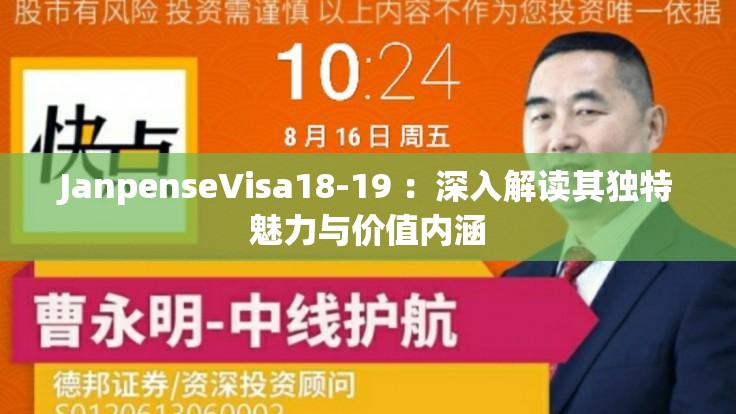 JanpenseVisa18-19 ：深入解读其独特魅力与价值内涵