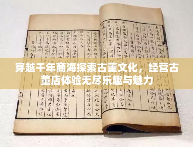 穿越千年商海探索古董文化，经营古董店体验无尽乐趣与魅力