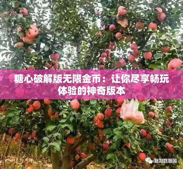 糖心破解版无限金币：让你尽享畅玩体验的神奇版本