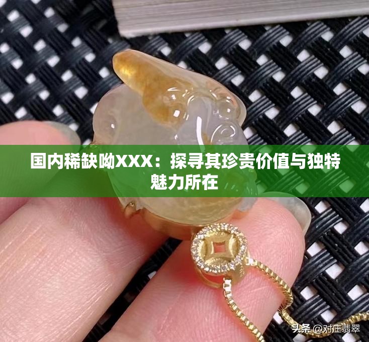 国内稀缺呦XXX：探寻其珍贵价值与独特魅力所在