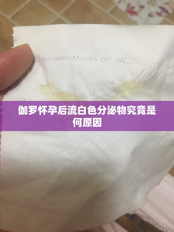伽罗怀孕后流白色分泌物究竟是何原因