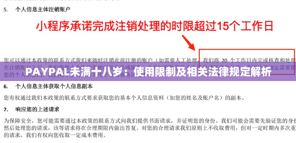 PAYPAL未满十八岁：使用限制及相关法律规定解析