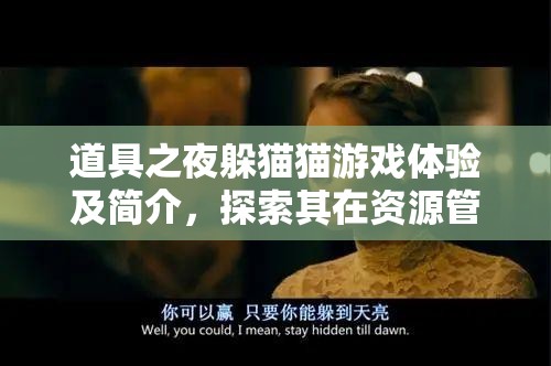 道具之夜躲猫猫游戏体验及简介，探索其在资源管理策略中的核心趣味与价值