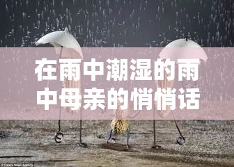 在雨中潮湿的雨中母亲的悄悄话：那些温暖又动人的话语