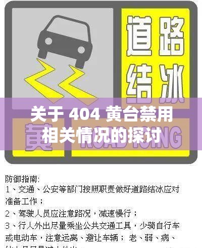 关于 404 黄台禁用相关情况的探讨