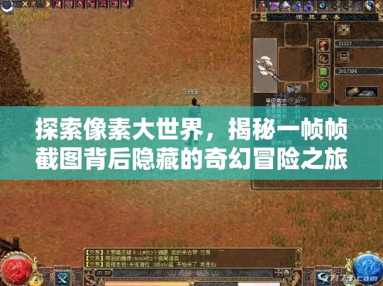 探索像素大世界，揭秘一帧帧截图背后隐藏的奇幻冒险之旅