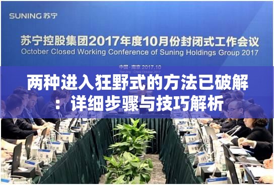 两种进入狂野式的方法已破解：详细步骤与技巧解析