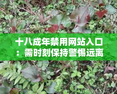 十八成年禁用网站入口：需时刻保持警惕远离不良网络