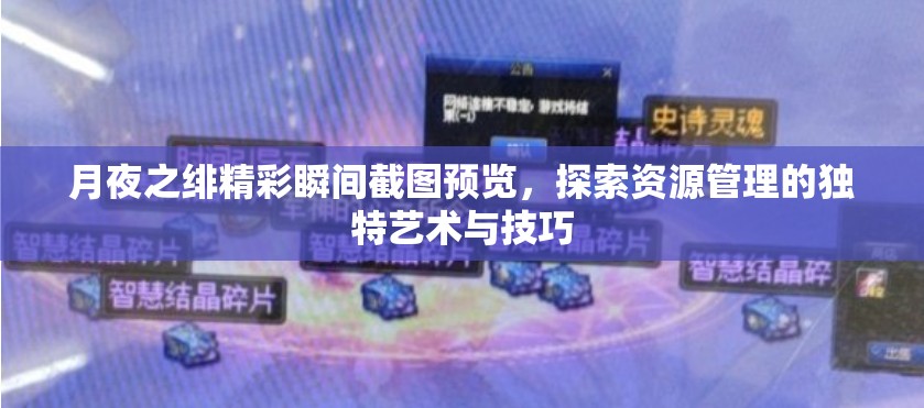 月夜之绯精彩瞬间截图预览，探索资源管理的独特艺术与技巧