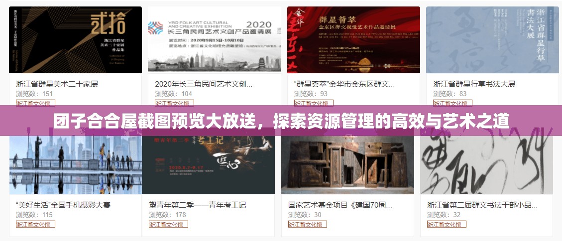 团子合合屋截图预览大放送，探索资源管理的高效与艺术之道