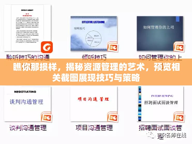 瞧你那损样，揭秘资源管理的艺术，预览相关截图展现技巧与策略
