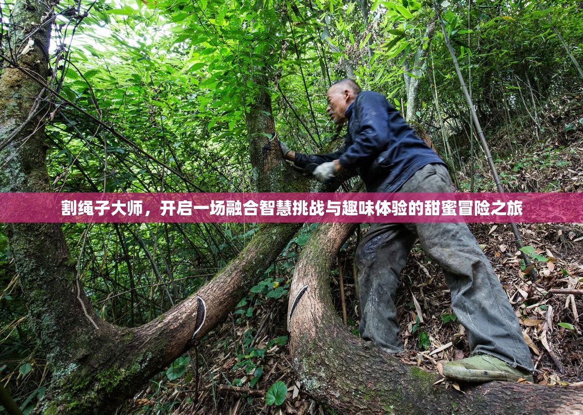 割绳子大师，开启一场融合智慧挑战与趣味体验的甜蜜冒险之旅